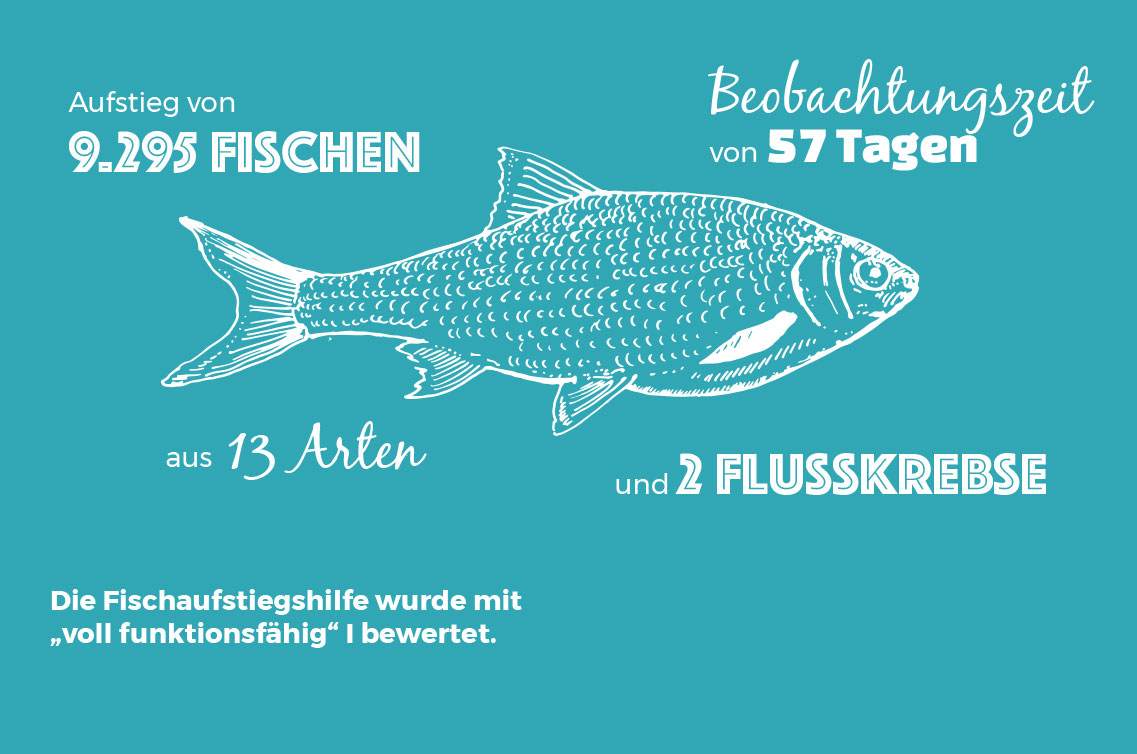 monitoring_fisch